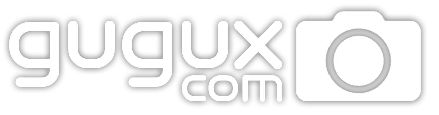 gugux.com